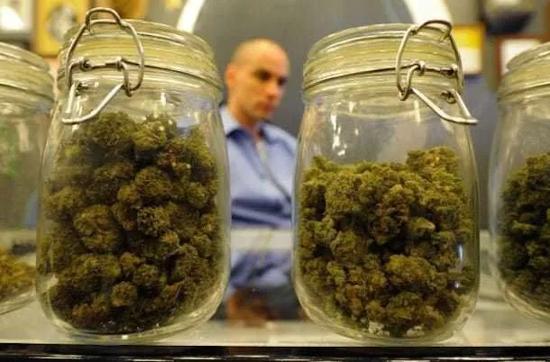 Over 400 Marijuana Stores Ordered To Close As City Regulates Industry business of marijuana High End Gear for The Affluent 420er